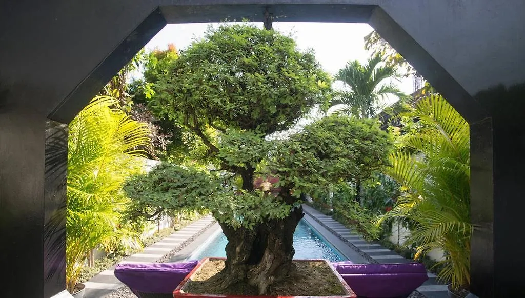 Bonsai Villas Seminyak  Indonesia